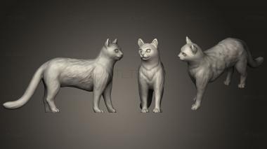 3D model Gold Cat (STL)